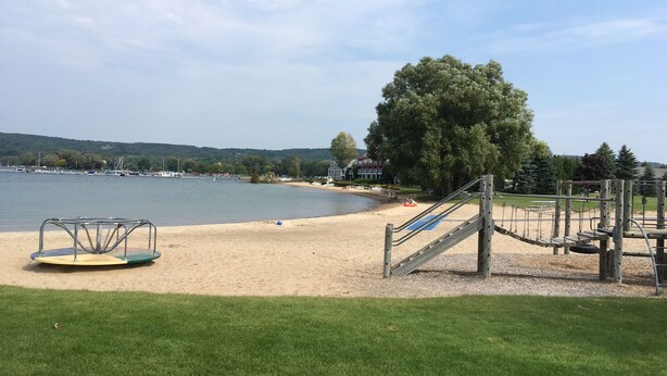 A playground with a slide and swings, a sandy beach, and a large tree.