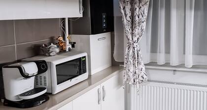 Apartament Alina