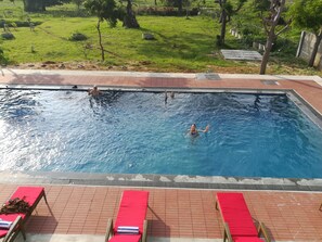 A swimming pool with three sun loungers and a grassy area in the background. - Flamingo Nature Resort (Weerawila)