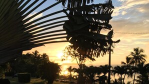 Une vue sur le coucher de soleil, avec des palmiers et une zone herbeuse.