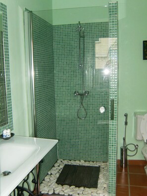 Shower, hair dryer, bidet, towels - CASA DA ROSEIRA - your holiday home with private garden (Famalicão)