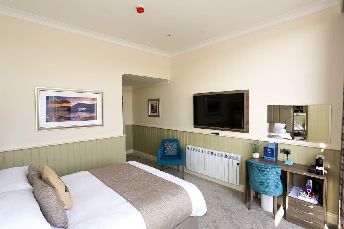 A hotel room with a bed, a desk, a chair, a television, a radiator, and a framed picture on the wall.