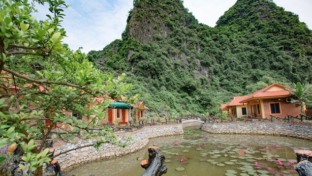 Un jardin paisible avec un étang, un pont de pierre et des bâtiments de style traditionnel.