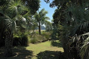 Property grounds - Boutique Apartments With Sea Views (Bure 1 - Wera) (Hot Water Beach)