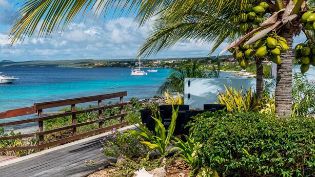 A wooden deck leading to a beach with boats, a palm tree, and lush greenery.