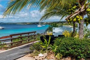 A wooden deck leading to a beach with boats, a palm tree, and lush greenery. - Luxury oceanfront villa, full AC private pool, direct ocean access, great diving (Kralendijk)