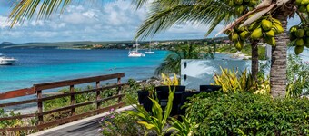 Luxury oceanfront villa, full AC private pool, direct ocean access, great diving