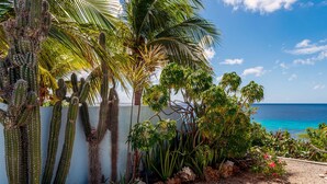 A tropical garden with cacti and palm trees, a pathway, and a view of the ocean.