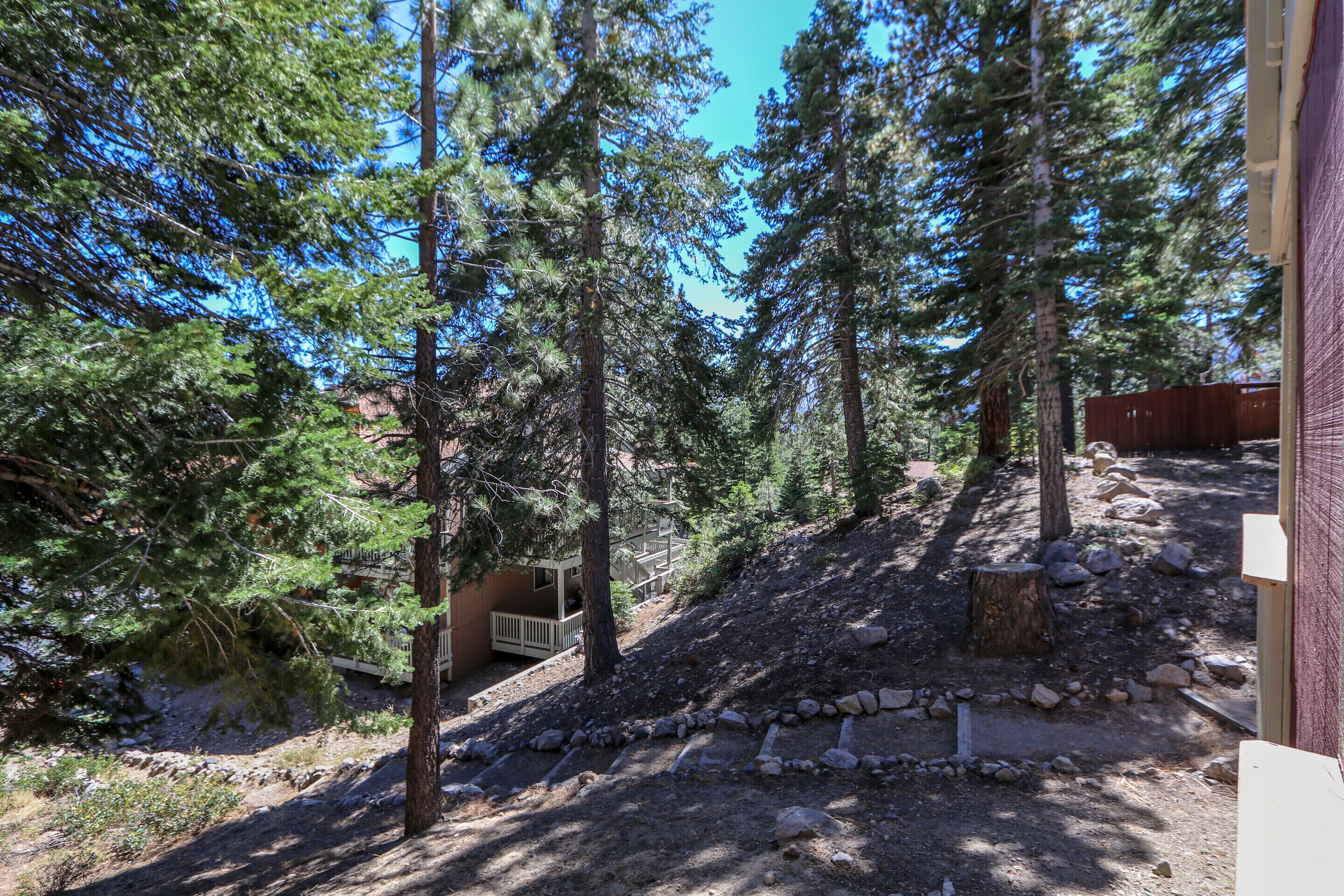 A forested area with a wooden deck and a stone pathway.