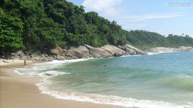 A beach with clear water, sandy shore, and dense green forest in the background.