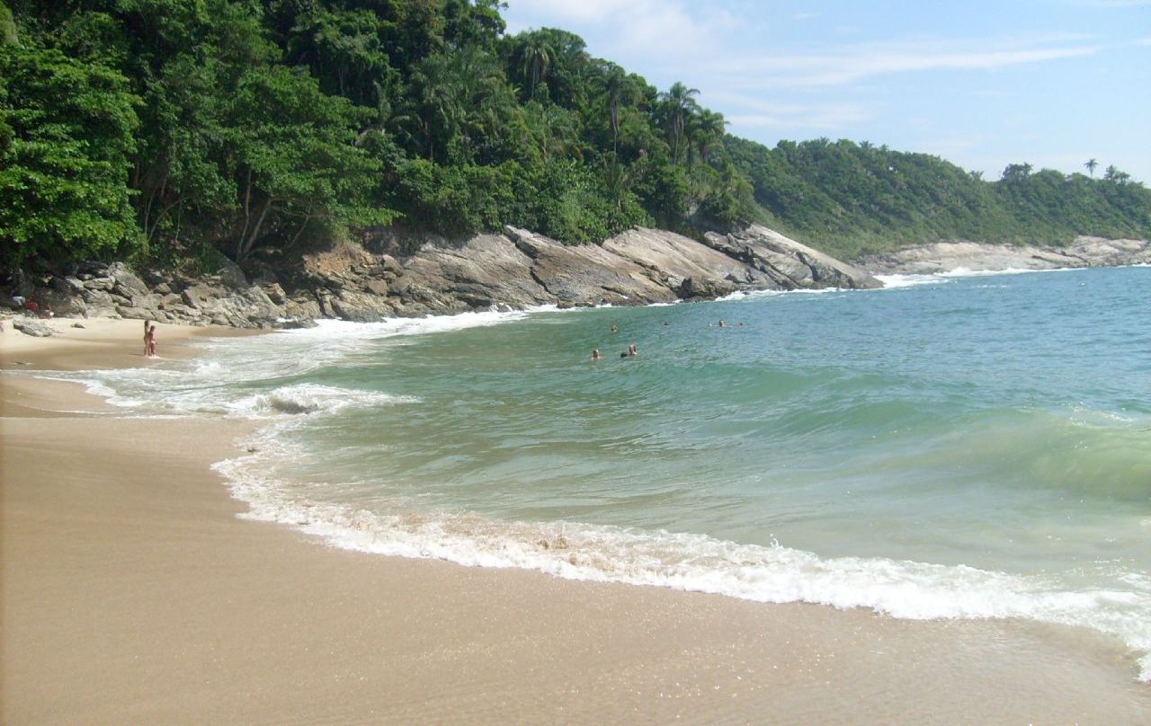 A beach with clear water, sandy shore, and dense green forest in the background.