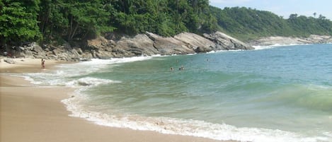 A beach with clear water, sandy shore, and dense green forest in the background.