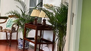 A room with a wooden chair, a small table with a lamp, and a potted plant. - House of Saint Margaret (Ponta Delgada)