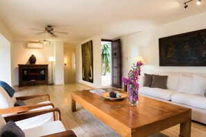 Smart TV, DVD player, books, stereo