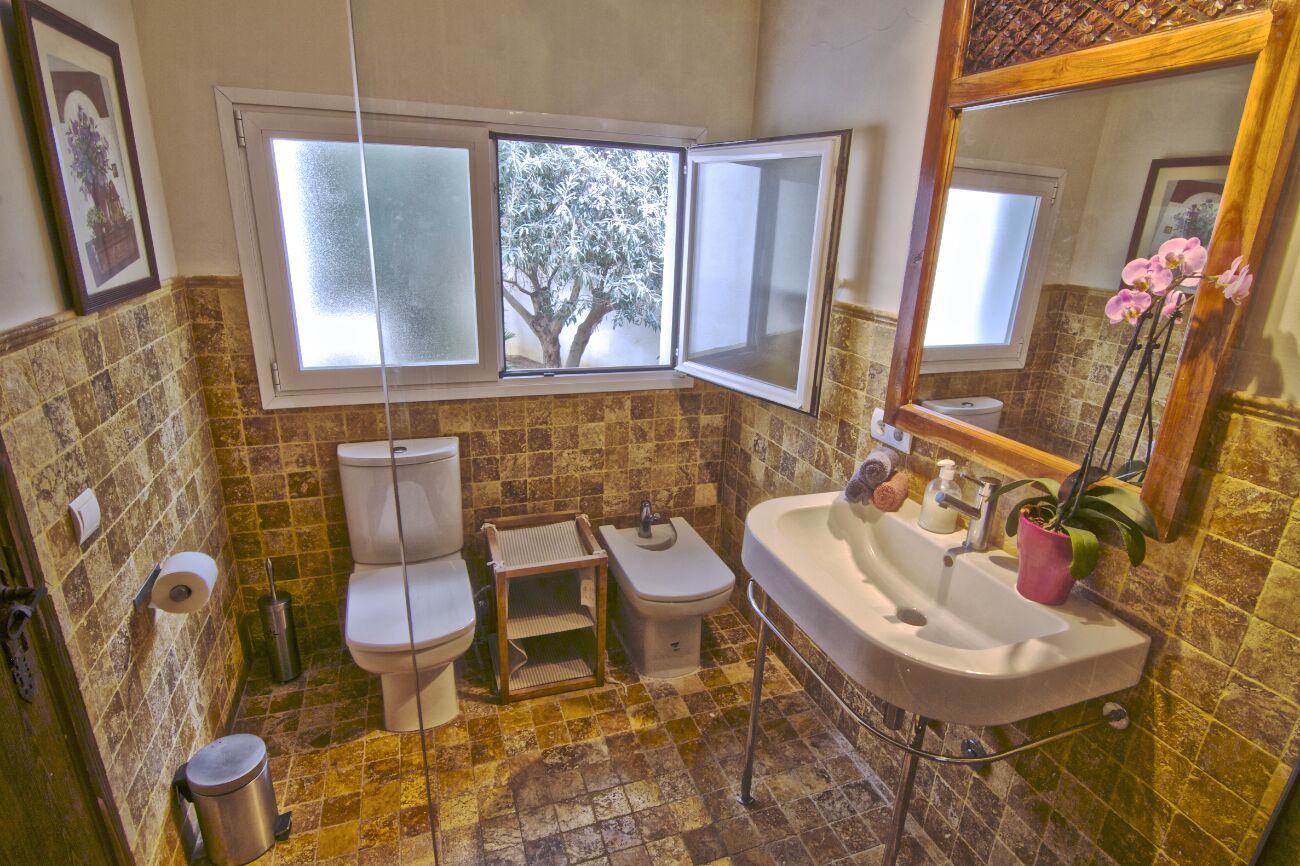 A bathroom with a toilet, bidet, sink, and a window with a view of a tree.