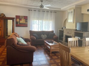 TV connectée, cheminée, lecteur de DVD, livres