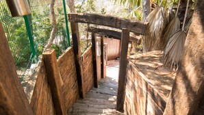 A wooden staircase with a rustic design, surrounded by natural elements like trees and a fence.