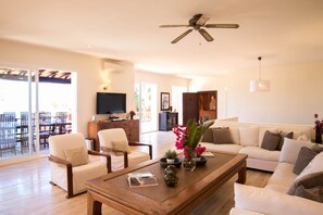 Smart TV, reproductor de DVD, libros y estéreo 