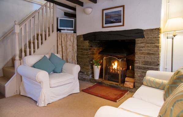 TV, fireplace, DVD player, books