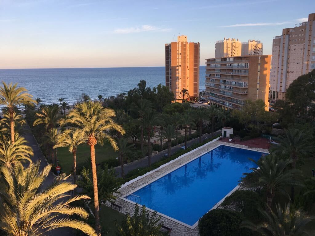 A hotel with a swimming pool surrounded by palm trees and a view of the sea.