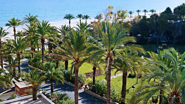 Een resort met palmbomen, uitzicht op het strand en een verhard pad.