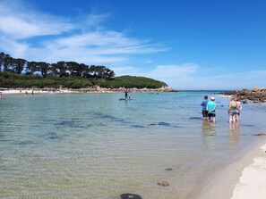 Playa en los alrededores y camastros 