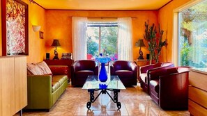 Télévision, cheminée, lecteur de DVD, livres