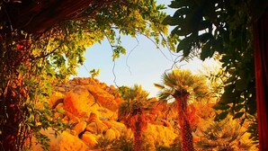 Un paisaje natural con rocas grandes, palmeras y vegetación densa.