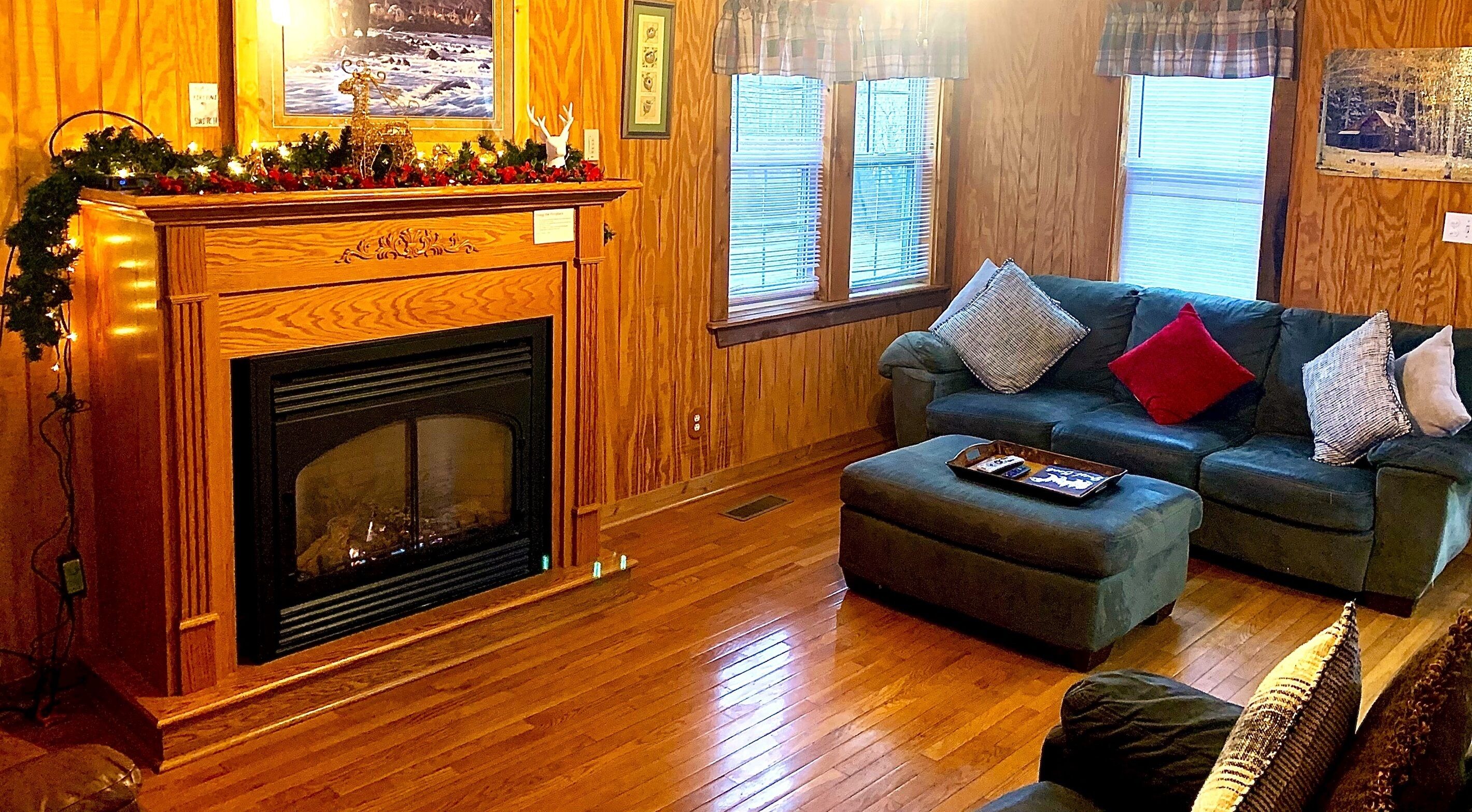 TV, fireplace, DVD player, video library