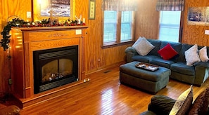 TV, DVD player, video library