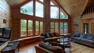 TV connectée, cheminée, jeux vidéo, lecteur de DVD