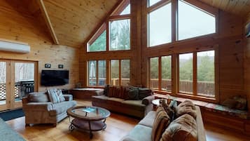 TV connectée, cheminée, jeux vidéo, lecteur de DVD