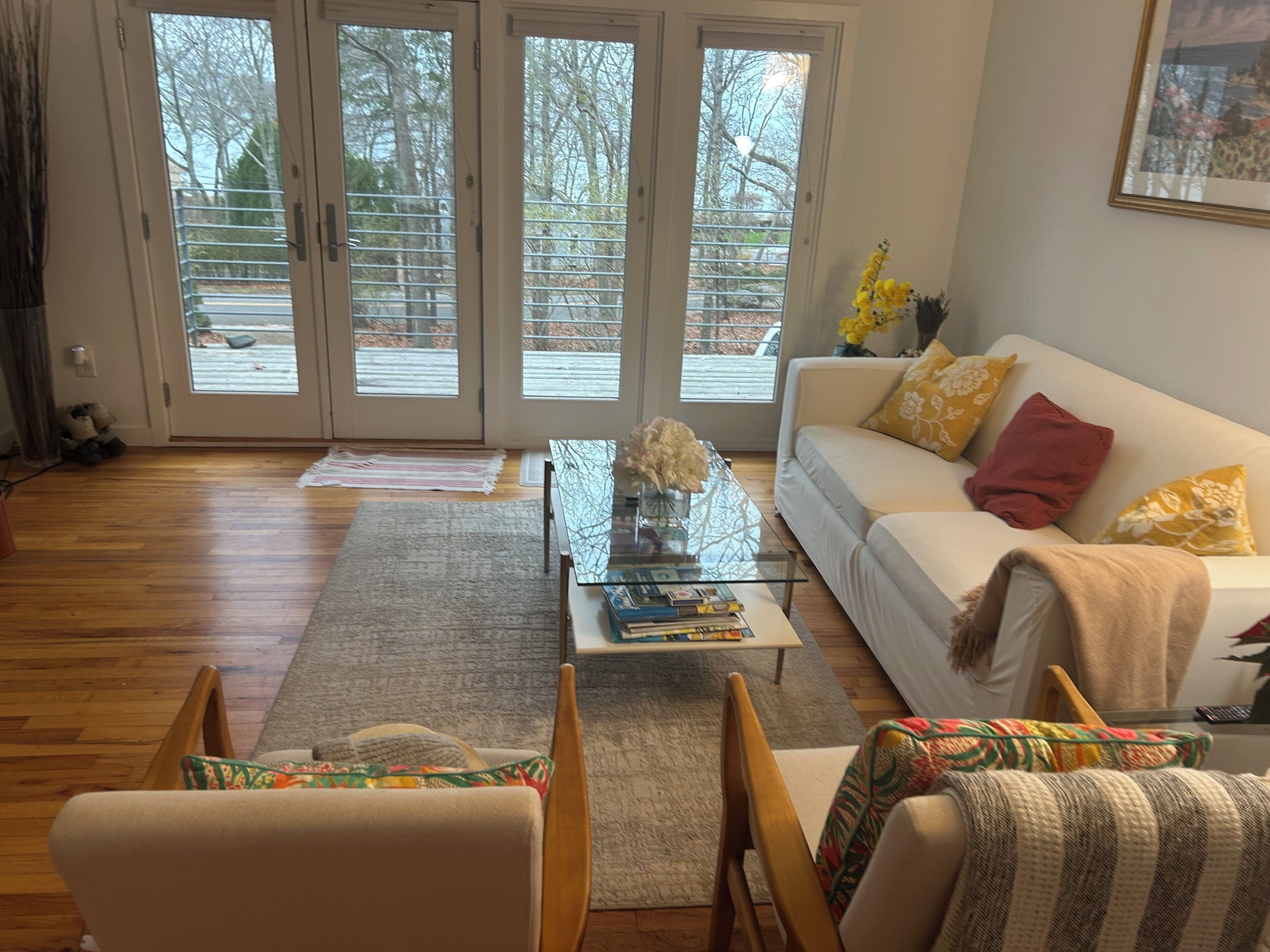 Smart TV, fireplace, video games, DVD player