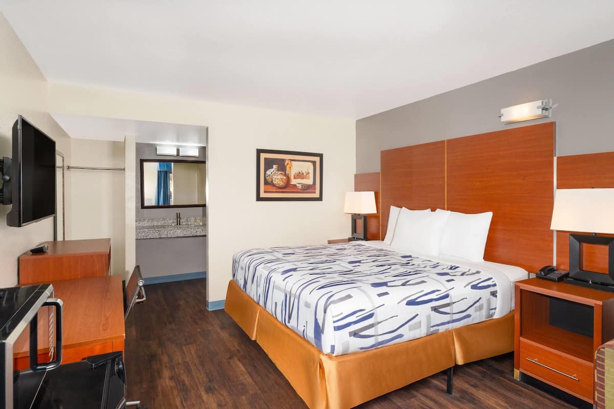 Une chambre d’hôtel comprenant un lit, un bureau, une télévision, un miroir, un tableau et une salle de bain.