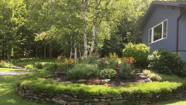 A garden with a stone wall, various plants, and a small shed. - Meadows Mountains and more  (Waterbury)