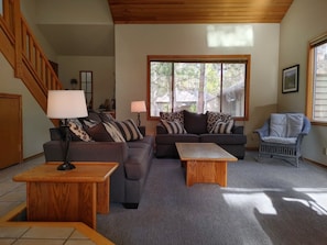 Smart TV, fireplace, DVD player, books