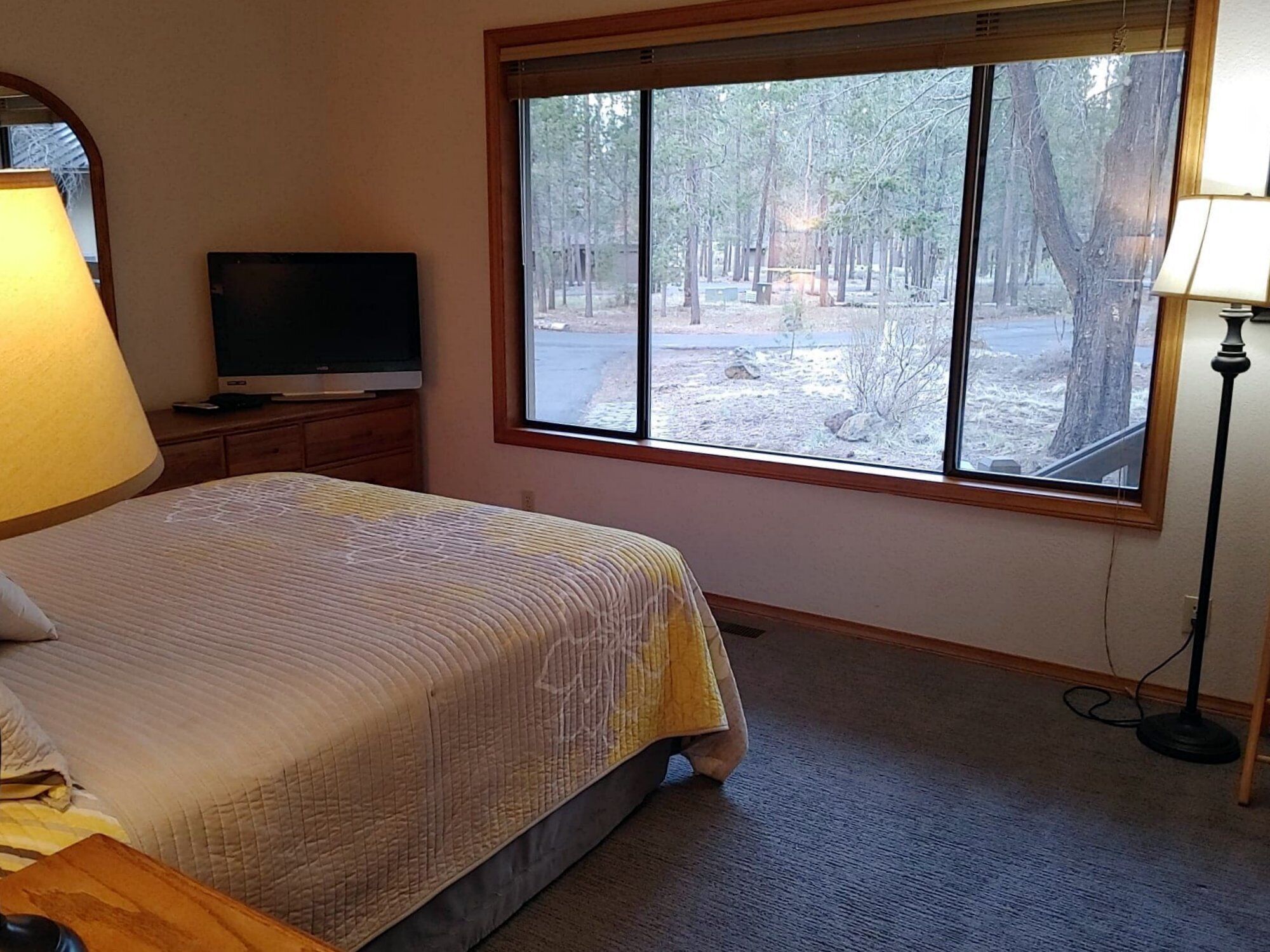 A bedroom with a bed, a TV on a wooden dresser, a window with a view of a forest, and a lamp.