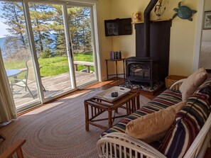 Fernseher, Kamin, Bücher, Stereoanlage