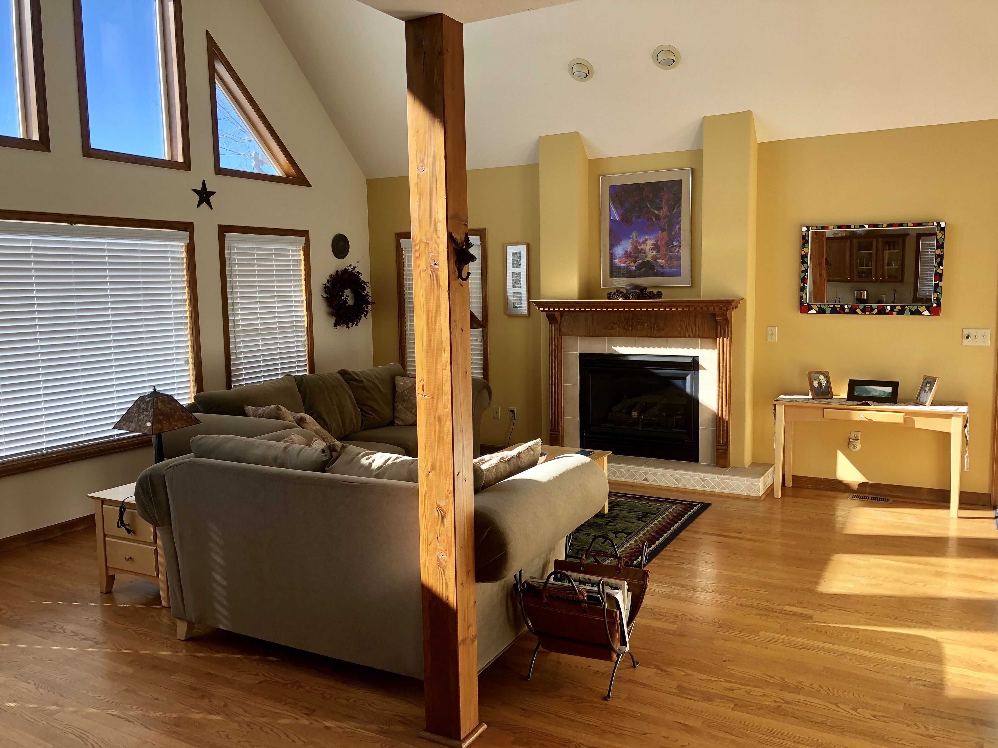 TV connectée, cheminée, lecteur de DVD, livres