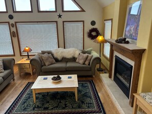 TV, fireplace, DVD player, books