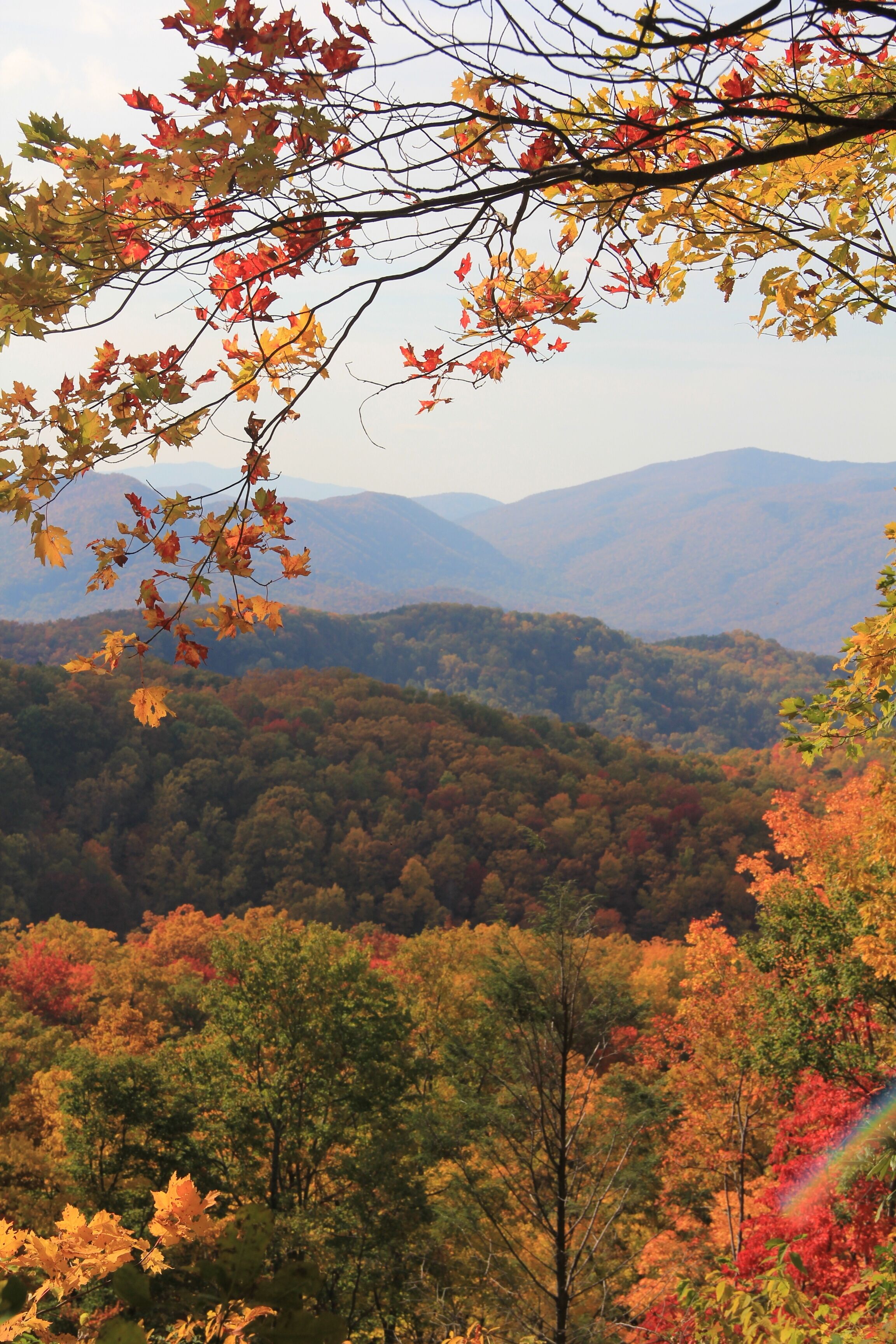 A mountainous landscape with autumn foliage.