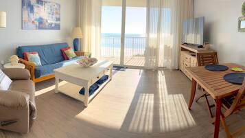 Smart TV, DVD player, books, video library