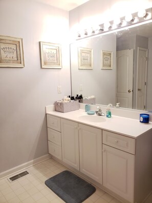 Hair dryer, towels, shampoo, toilet paper - King Guest Suite - A TOGAR Vacation Rental (Chesapeake)