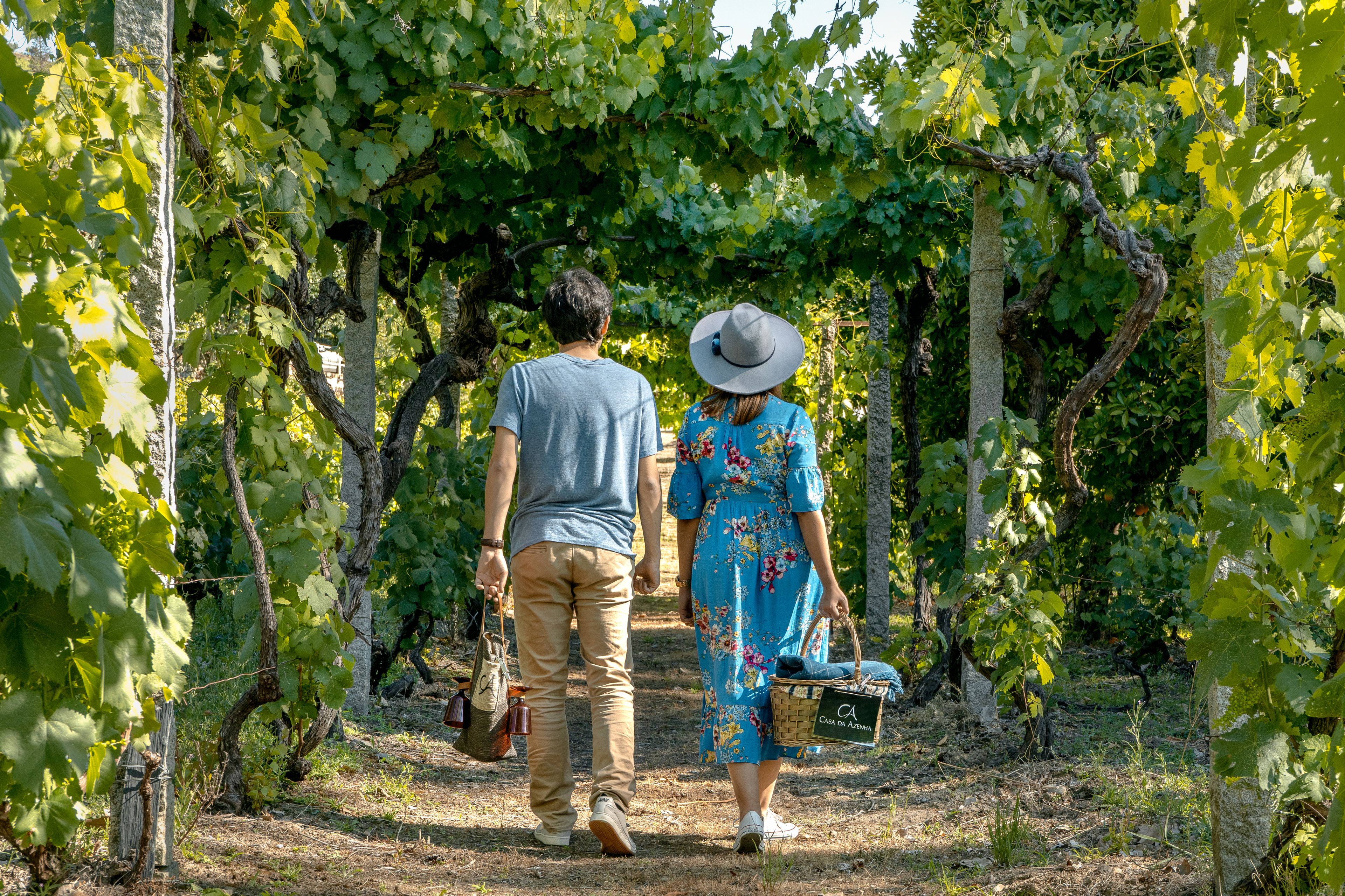 Una pareja caminando entre viñedos con hileras de vides.