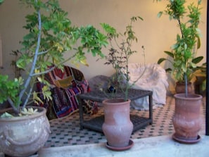 Habitació amb un terra amb dibuixos, un sofà i diverses plantes en testos.