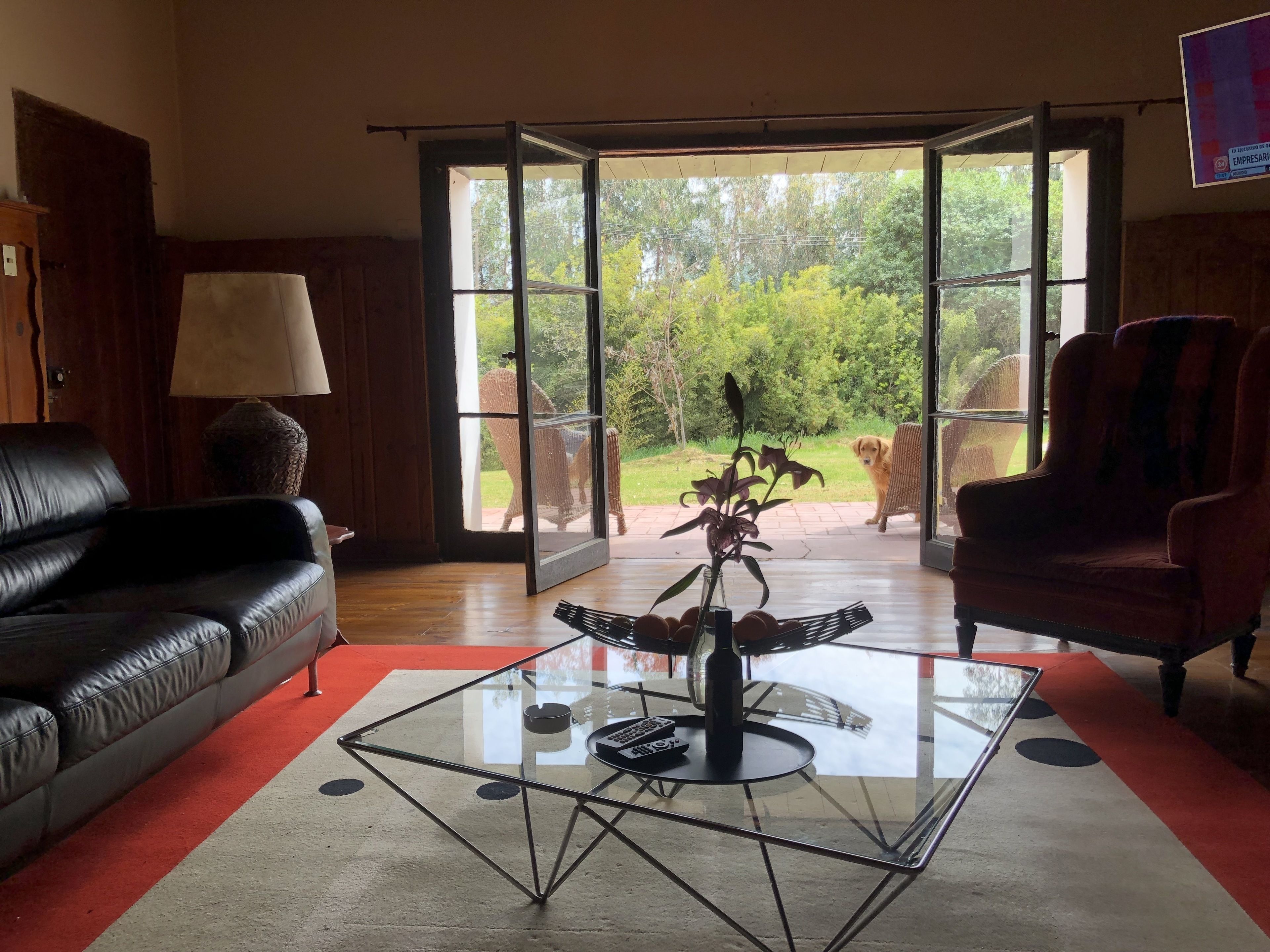 TV connectée de 60 pouces avec chaînes par satellite, télévision