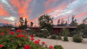 A rural landscape with a dirt path, red flowers, and a wooden house with a red roof. - Casona Lo Aguirre Hotel y Convenciones (Talagante)