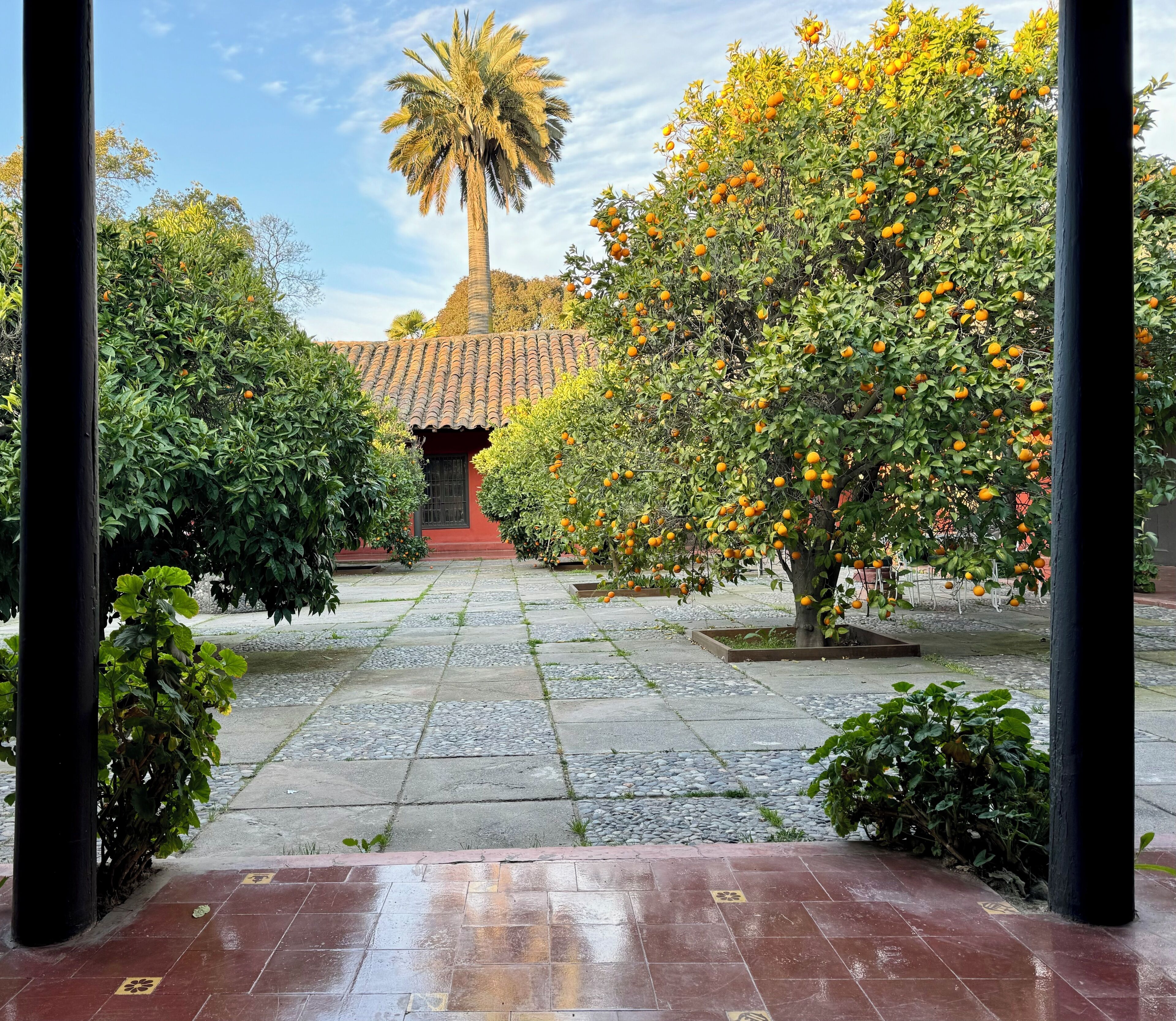 Draps en coton égyptien, literie de qualité supérieure