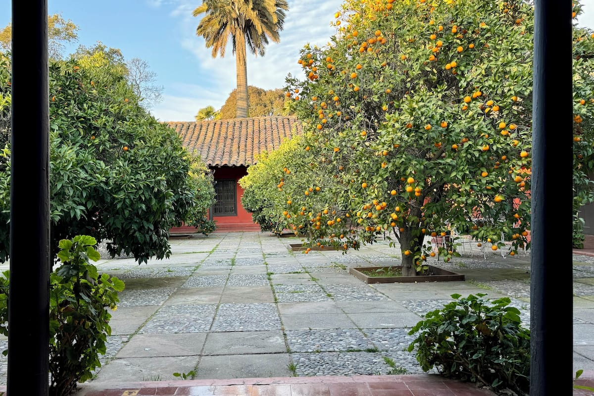 Habitación de luna de miel | Sábanas de algodón egipcio, ropa de cama de alta calidad y edredón 