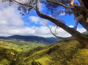 Exterior - The Lost Leprechaun Ecohostel (San Juan de Pasto)